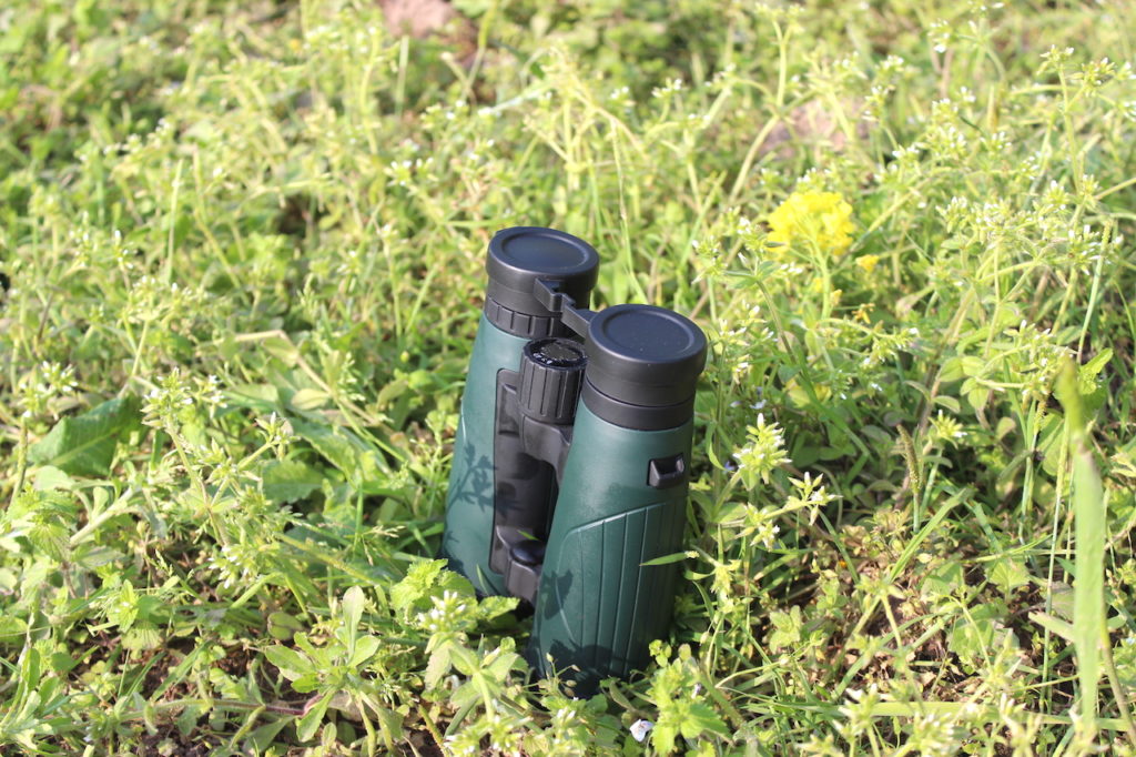 Shinyzen Optics