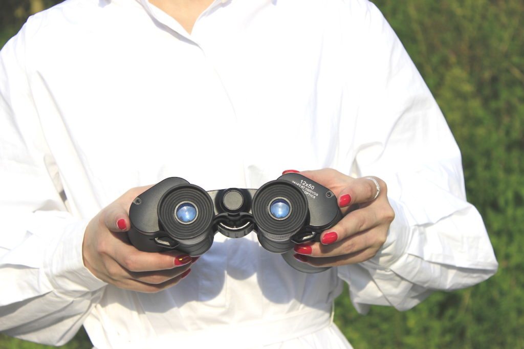 Shinyzen Optics