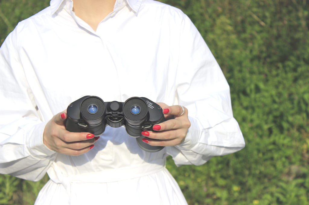 Shinyzen Optics