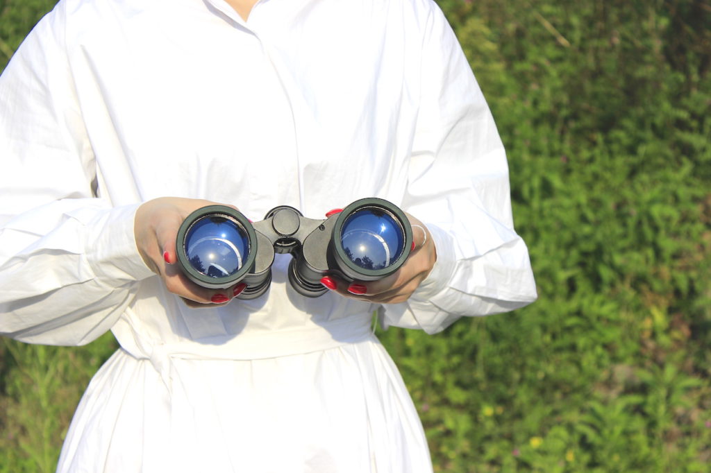 Shinyzen Optics