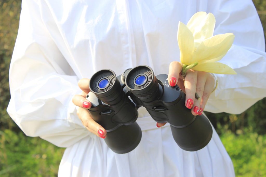 Shinyzen Optics